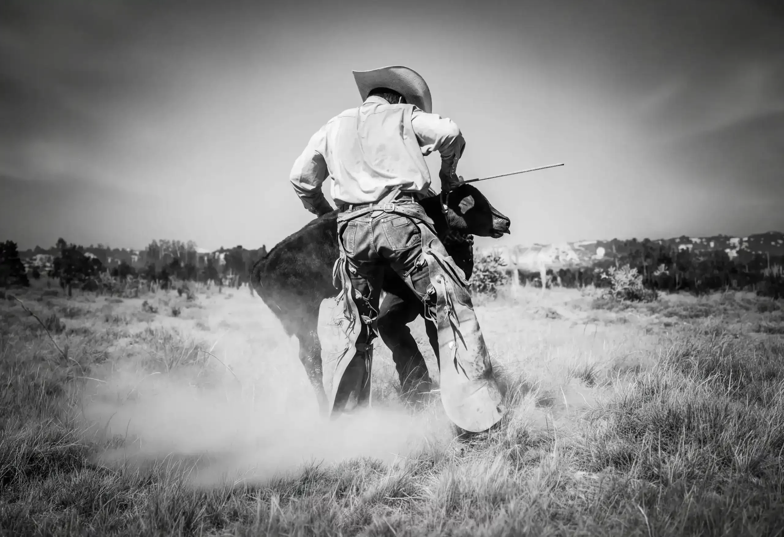 Cowboy